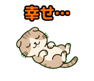 843801915