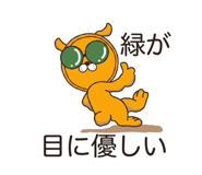 843803011