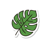 843803186