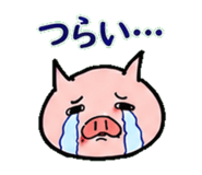 843803293