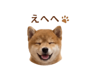 843803483