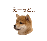 843803484