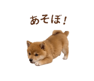 843803488