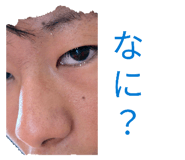843804132