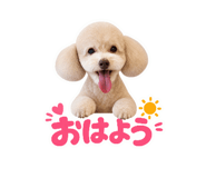 843804185