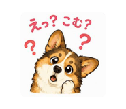 843804259