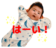 843804458