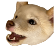 843804548