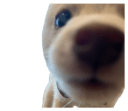 843804549