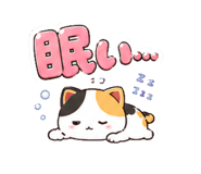 843805907