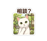 843806087