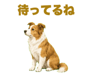 843806606