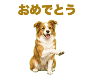 843806611