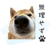 843806665