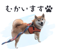 843806670