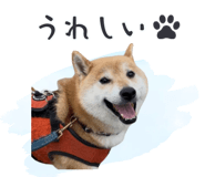 843806674