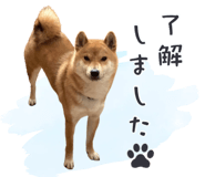 843806676