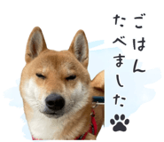 843806677