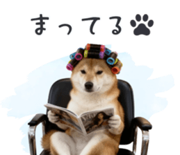 843806685