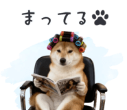 843806685