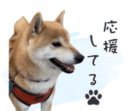 843806686