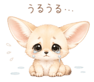 843806862
