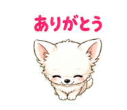843807217