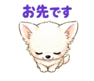 843807237