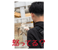 843807436