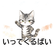 843808225