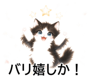 843808228