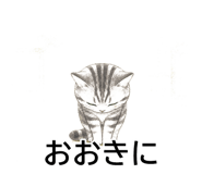 843808233