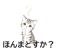 843808234