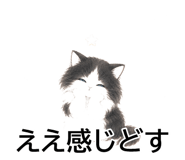 843808235