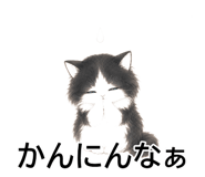 843808236