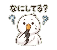 843808258