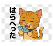 843808503
