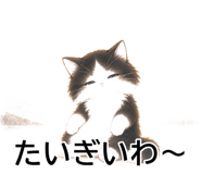 843808581