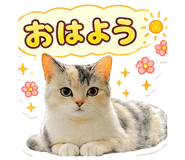 843808625