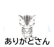 843808641