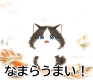 843808643