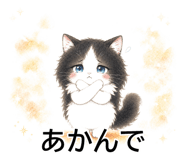 843808653