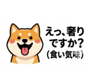 843808737