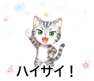 843808809