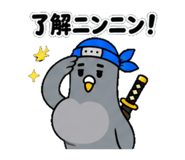 843808827