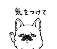 843809437