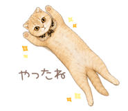843809823
