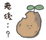 843810440