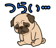 843810868
