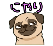 843810877